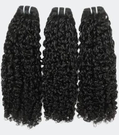 Burmese Curly 3 Bundle Deal